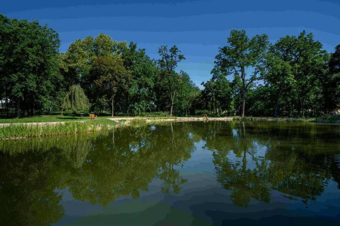 Dekorációs park tó